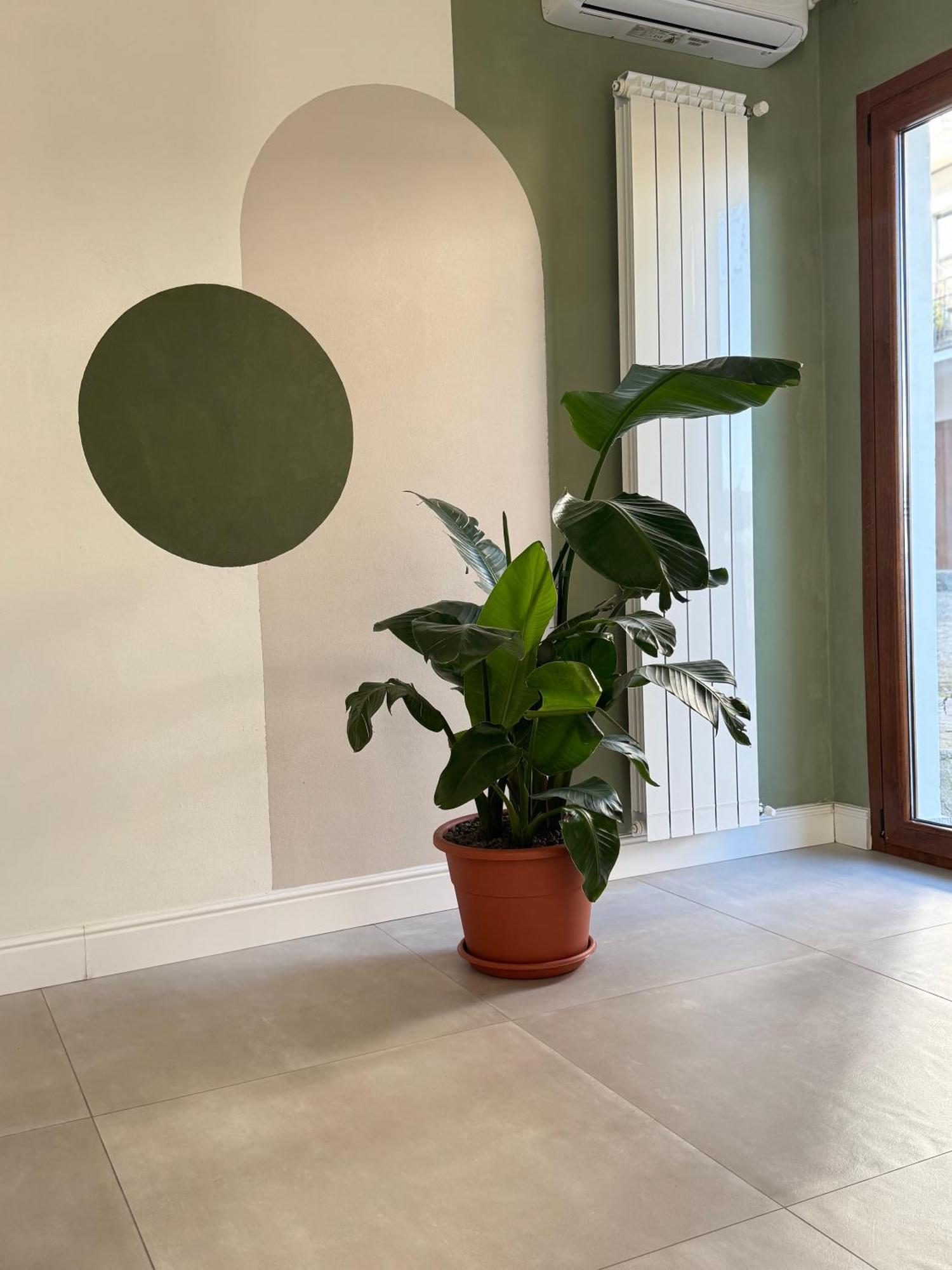 Villa Il Cortile Del Borgo à Borgo Ticino Extérieur photo